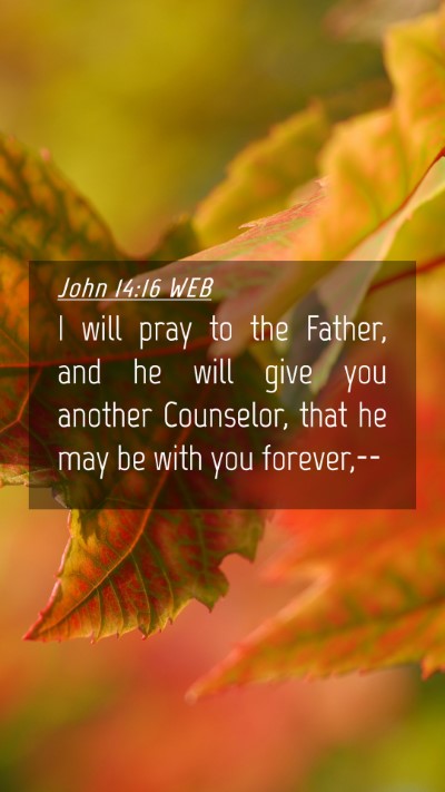 Picture 04 - John 14:16 WEB Mobile Phone Wallpaper - I will pray to the Father, and he will give you - Mobile Bible Verse Wallpaper