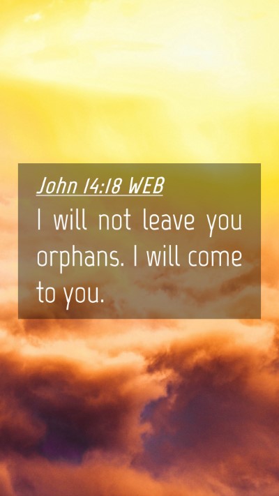 Picture 04 - John 14:18 WEB Mobile Phone Wallpaper - I will not leave you orphans. I will come to - Mobile Bible Verse Wallpaper