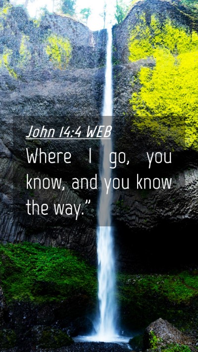 Picture 04 - John 14:4 WEB Mobile Phone Wallpaper - Where I go, you know, and you know the - Mobile Bible Verse Wallpaper