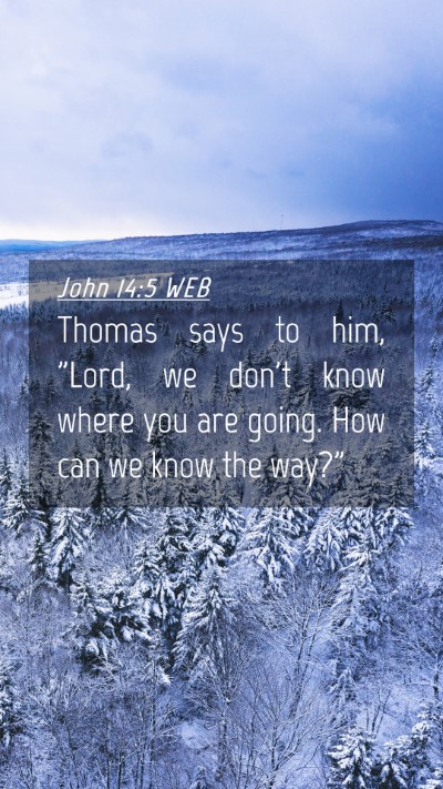 Picture 04 - John 14:5 WEB Mobile Phone Wallpaper - Thomas says to him, 