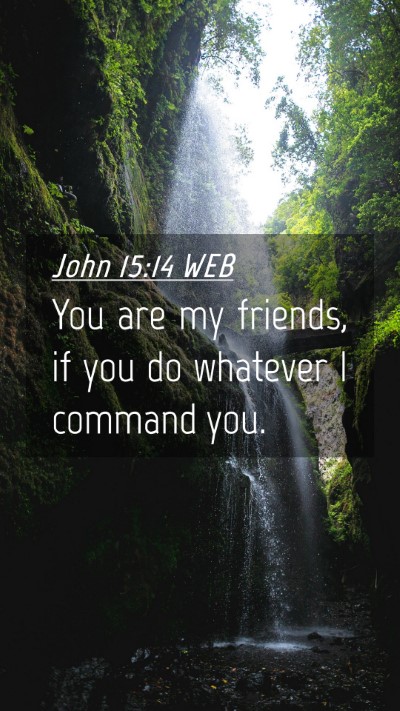 Picture 04 - John 15:14 WEB Mobile Phone Wallpaper - You are my friends, if you do whatever I command - Mobile Bible Verse Wallpaper
