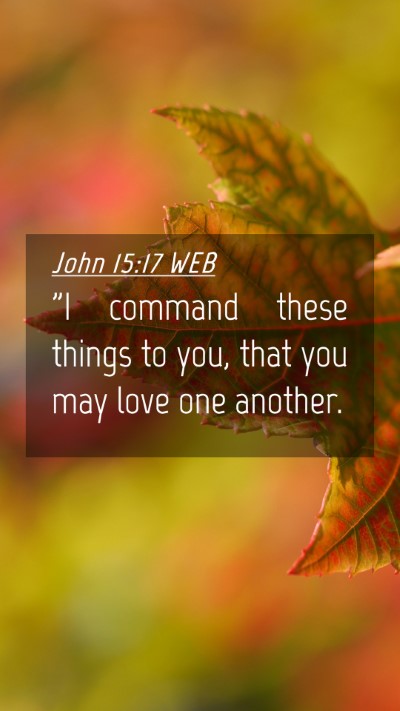 Picture 04 - John 15:17 WEB Mobile Phone Wallpaper - 