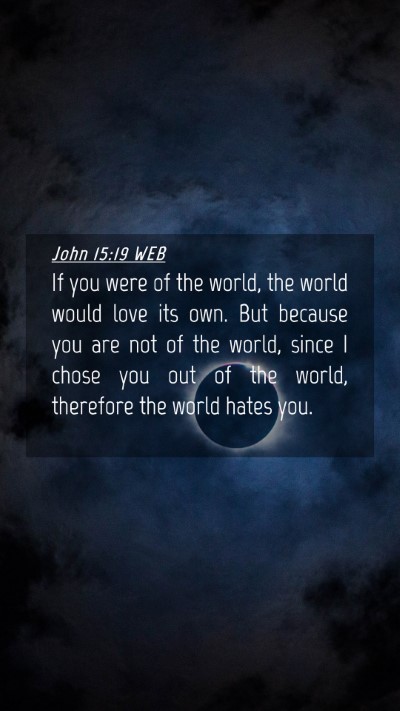 Picture 04 - John 15:19 WEB Mobile Phone Wallpaper - If you were of the world, the world would love - Mobile Bible Verse Wallpaper