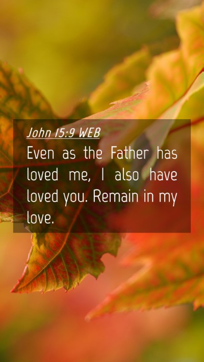 Picture 04 - John 15:9 WEB Mobile Phone Wallpaper - Even as the Father has loved me, I also have - Mobile Bible Verse Wallpaper