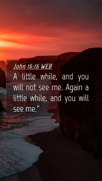 Picture 04 - John 16:16 WEB Mobile Phone Wallpaper - A little while, and you will not see me. Again a - Mobile Bible Verse Wallpaper