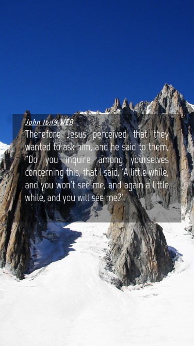 Picture 04 - John 16:19 WEB Mobile Phone Wallpaper - Therefore Jesus perceived that they wanted to ask - Mobile Bible Verse Wallpaper