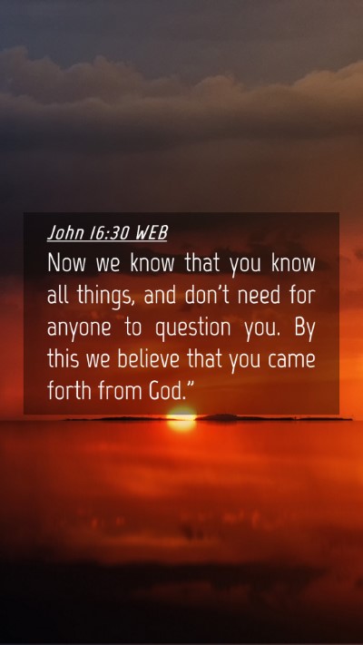 Picture 04 - John 16:30 WEB Mobile Phone Wallpaper - Now we know that you know all things, and don't - Mobile Bible Verse Wallpaper