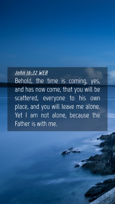 Picture 04 - John 16:32 WEB Mobile Phone Wallpaper - Behold, the time is coming, yes, and has now - Mobile Bible Verse Wallpaper