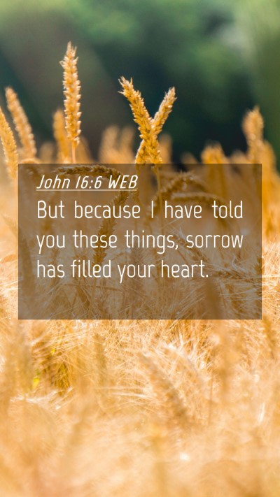 Picture 04 - John 16:6 WEB Mobile Phone Wallpaper - But because I have told you these things, sorrow - Mobile Bible Verse Wallpaper