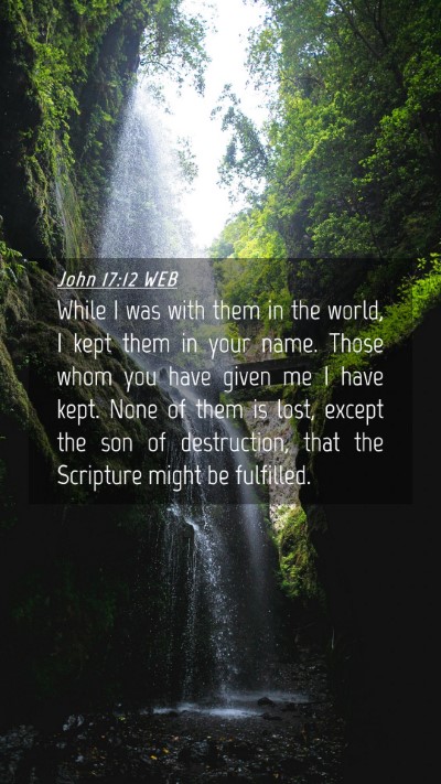 Picture 04 - John 17:12 WEB Mobile Phone Wallpaper - While I was with them in the world, I kept them - Mobile Bible Verse Wallpaper
