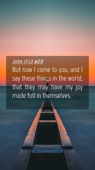 Picture 04 - John 17:13 WEB Mobile Phone Wallpaper - But now I come to you, and I say these things in - Mobile Bible Verse Wallpaper