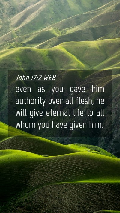 Picture 04 - John 17:2 WEB Mobile Phone Wallpaper - even as you gave him authority over all flesh, he - Mobile Bible Verse Wallpaper