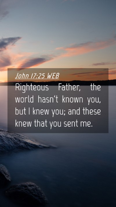 Picture 04 - John 17:25 WEB Mobile Phone Wallpaper - Righteous Father, the world hasn't known you, but - Mobile Bible Verse Wallpaper