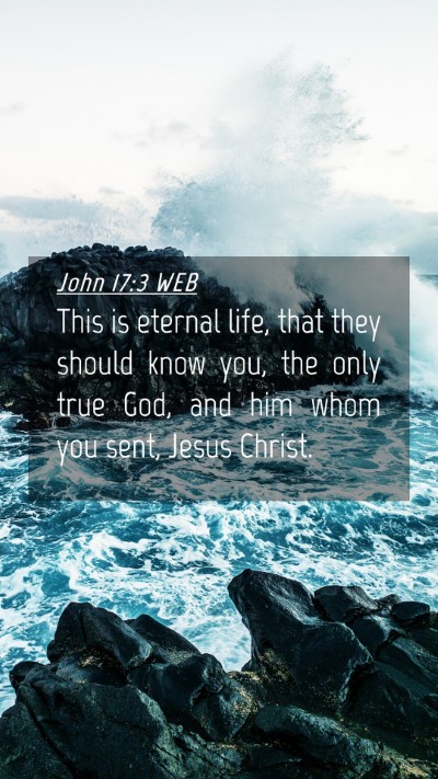 Picture 04 - John 17:3 WEB Mobile Phone Wallpaper - This is eternal life, that they should know you, - Mobile Bible Verse Wallpaper