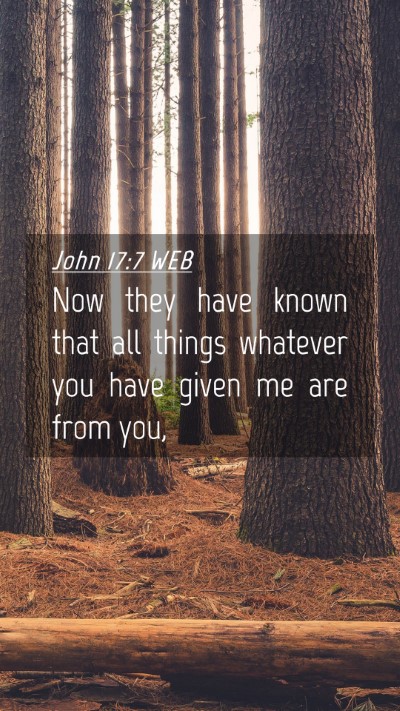 Picture 04 - John 17:7 WEB Mobile Phone Wallpaper - Now they have known that all things whatever you - Mobile Bible Verse Wallpaper