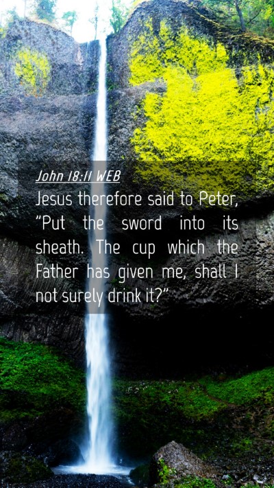 Picture 04 - John 18:11 WEB Mobile Phone Wallpaper - Jesus therefore said to Peter, 