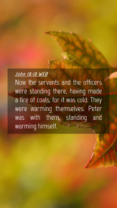Picture 04 - John 18:18 WEB Mobile Phone Wallpaper - Now the servants and the officers were standing - Mobile Bible Verse Wallpaper