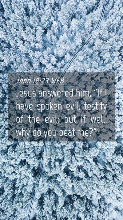 Picture 04 - John 18:23 WEB Mobile Phone Wallpaper - Jesus answered him, 