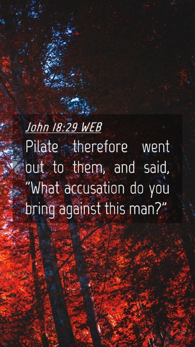 Picture 04 - John 18:29 WEB Mobile Phone Wallpaper - Pilate therefore went out to them, and said, - Mobile Bible Verse Wallpaper