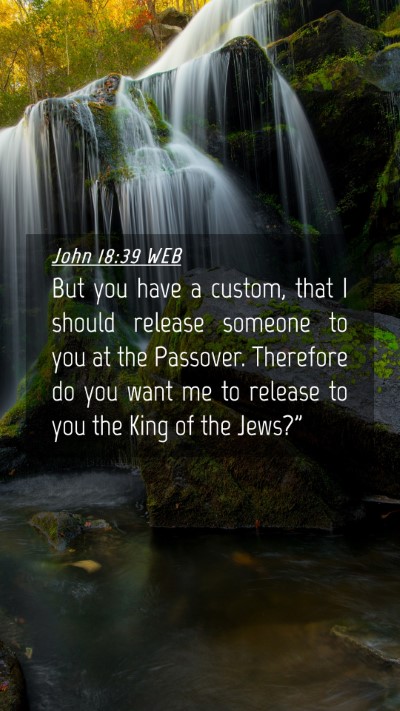 Picture 04 - John 18:39 WEB Mobile Phone Wallpaper - But you have a custom, that I should release - Mobile Bible Verse Wallpaper