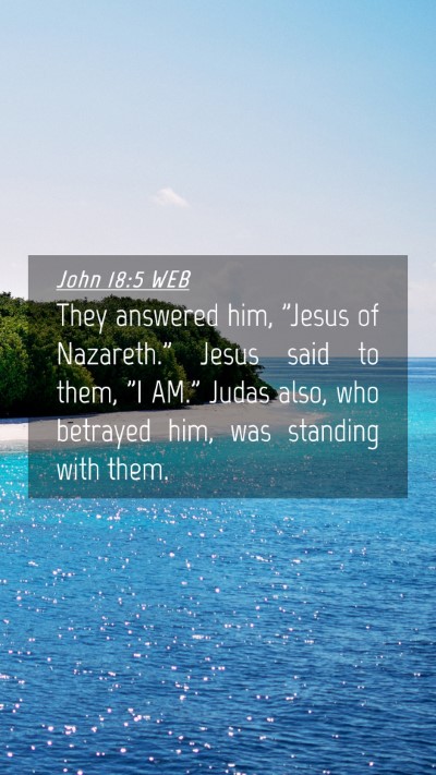 Picture 04 - John 18:5 WEB Mobile Phone Wallpaper - They answered him, 