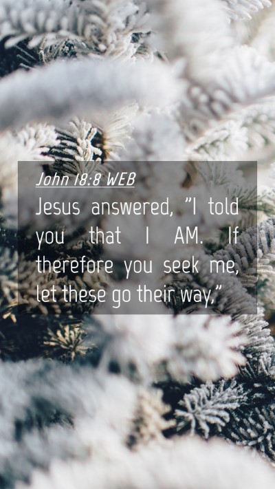 Picture 04 - John 18:8 WEB Mobile Phone Wallpaper - Jesus answered, 
