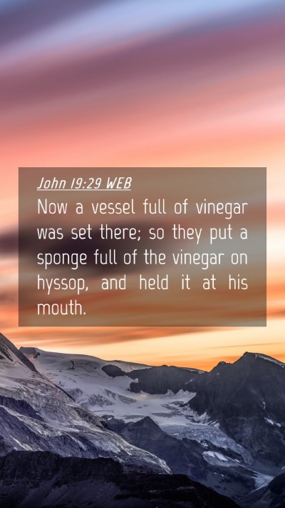 Picture 04 - John 19:29 WEB Mobile Phone Wallpaper - Now a vessel full of vinegar was set there; so - Mobile Bible Verse Wallpaper