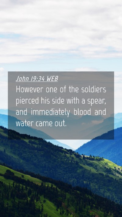 Picture 04 - John 19:34 WEB Mobile Phone Wallpaper - However one of the soldiers pierced his side with - Mobile Bible Verse Wallpaper