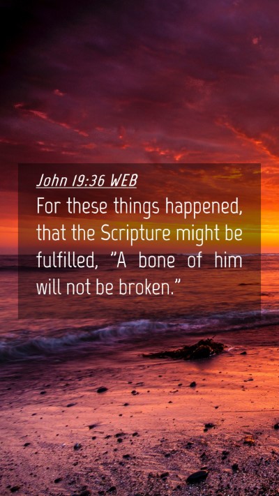 Picture 04 - John 19:36 WEB Mobile Phone Wallpaper - For these things happened, that the Scripture - Mobile Bible Verse Wallpaper