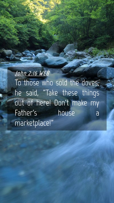 Picture 04 - John 2:16 WEB Mobile Phone Wallpaper - To those who sold the doves, he said, 