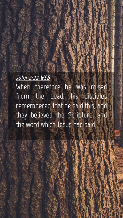 Picture 04 - John 2:22 WEB Mobile Phone Wallpaper - When therefore he was raised from the dead, his - Mobile Bible Verse Wallpaper