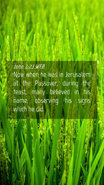 Picture 04 - John 2:23 WEB Mobile Phone Wallpaper - Now when he was in Jerusalem at the Passover, - Mobile Bible Verse Wallpaper