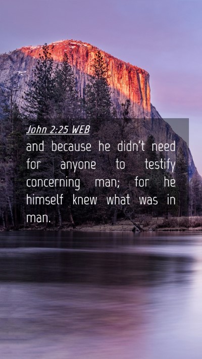 Picture 04 - John 2:25 WEB Mobile Phone Wallpaper - and because he didn't need for anyone to testify - Mobile Bible Verse Wallpaper