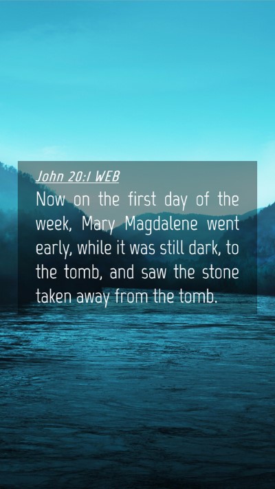 Picture 04 - John 20:1 WEB Mobile Phone Wallpaper - Now on the first day of the week, Mary Magdalene - Mobile Bible Verse Wallpaper