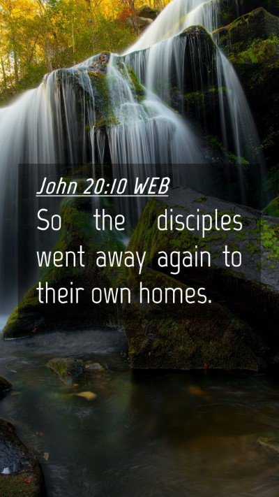 Picture 04 - John 20:10 WEB Mobile Phone Wallpaper - So the disciples went away again to their own - Mobile Bible Verse Wallpaper