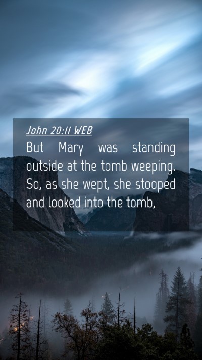 Picture 04 - John 20:11 WEB Mobile Phone Wallpaper - But Mary was standing outside at the tomb - Mobile Bible Verse Wallpaper