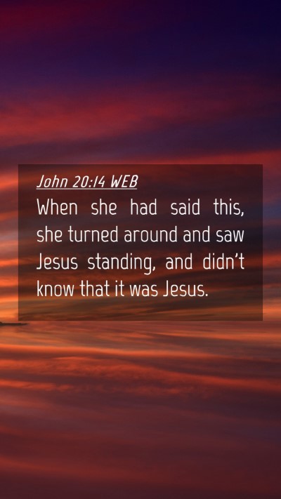 Picture 04 - John 20:14 WEB Mobile Phone Wallpaper - When she had said this, she turned around and saw - Mobile Bible Verse Wallpaper