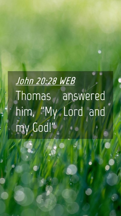 Picture 04 - John 20:28 WEB Mobile Phone Wallpaper - Thomas answered him, 