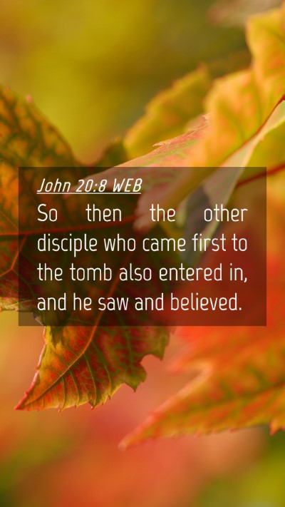 Picture 04 - John 20:8 WEB Mobile Phone Wallpaper - So then the other disciple who came first to the - Mobile Bible Verse Wallpaper