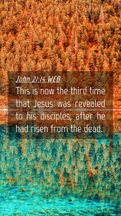 Picture 04 - John 21:14 WEB Mobile Phone Wallpaper - This is now the third time that Jesus was - Mobile Bible Verse Wallpaper