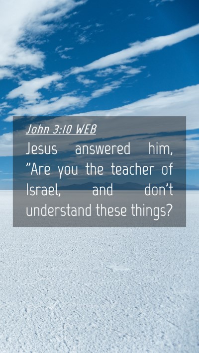 Picture 04 - John 3:10 WEB Mobile Phone Wallpaper - Jesus answered him, 