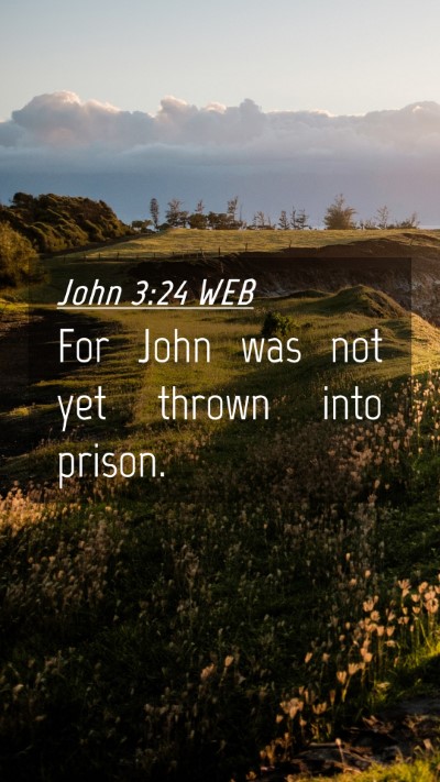 Picture 04 - John 3:24 WEB Mobile Phone Wallpaper - For John was not yet thrown into - Mobile Bible Verse Wallpaper