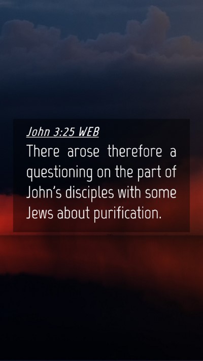 Picture 04 - John 3:25 WEB Mobile Phone Wallpaper - There arose therefore a questioning on the part - Mobile Bible Verse Wallpaper