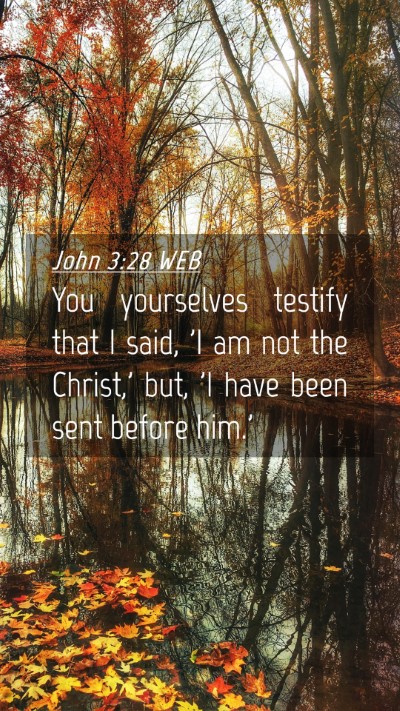 Picture 04 - John 3:28 WEB Mobile Phone Wallpaper - You yourselves testify that I said, 'I am not the - Mobile Bible Verse Wallpaper