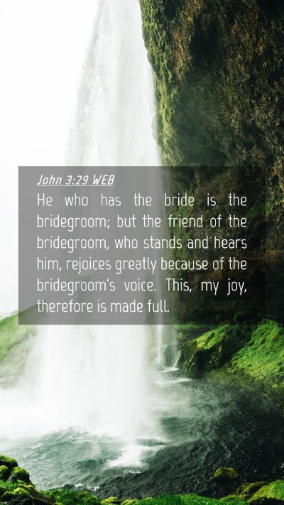 Picture 04 - John 3:29 WEB Mobile Phone Wallpaper - He who has the bride is the bridegroom; but the - Mobile Bible Verse Wallpaper