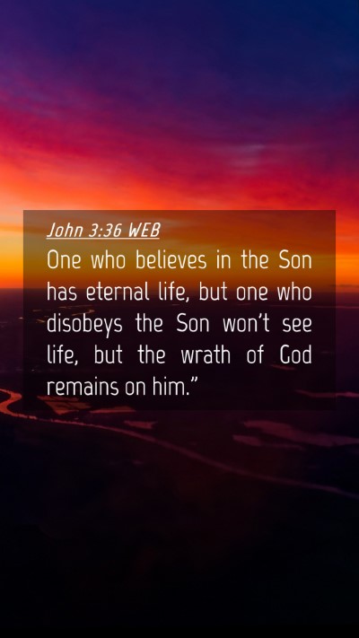 Picture 04 - John 3:36 WEB Mobile Phone Wallpaper - One who believes in the Son has eternal life, but - Mobile Bible Verse Wallpaper