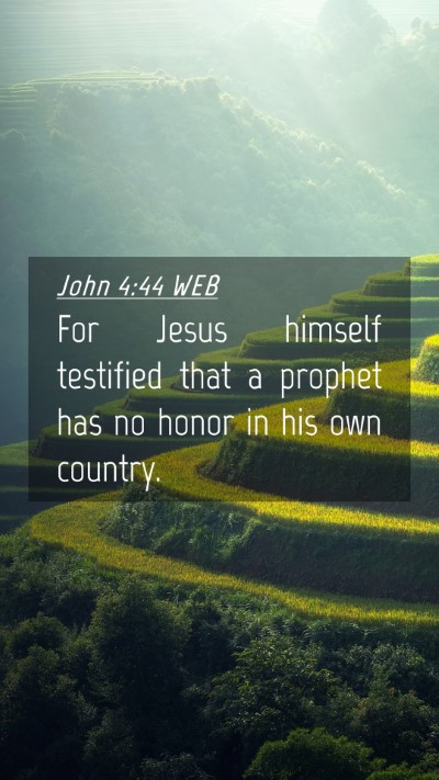Picture 04 - John 4:44 WEB Mobile Phone Wallpaper - For Jesus himself testified that a prophet has no - Mobile Bible Verse Wallpaper