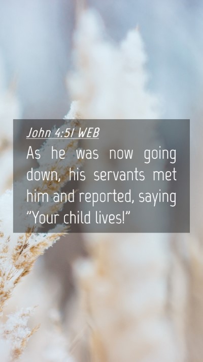 Picture 04 - John 4:51 WEB Mobile Phone Wallpaper - As he was now going down, his servants met him - Mobile Bible Verse Wallpaper