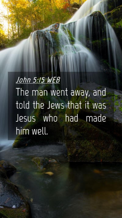 Picture 04 - John 5:15 WEB Mobile Phone Wallpaper - The man went away, and told the Jews that it was - Mobile Bible Verse Wallpaper