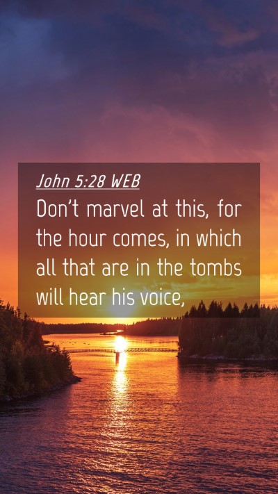 Picture 04 - John 5:28 WEB Mobile Phone Wallpaper - Don't marvel at this, for the hour comes, in - Mobile Bible Verse Wallpaper